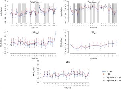 Frontiers | DNA Methylation Analysis of Ribosomal DNA in Adults